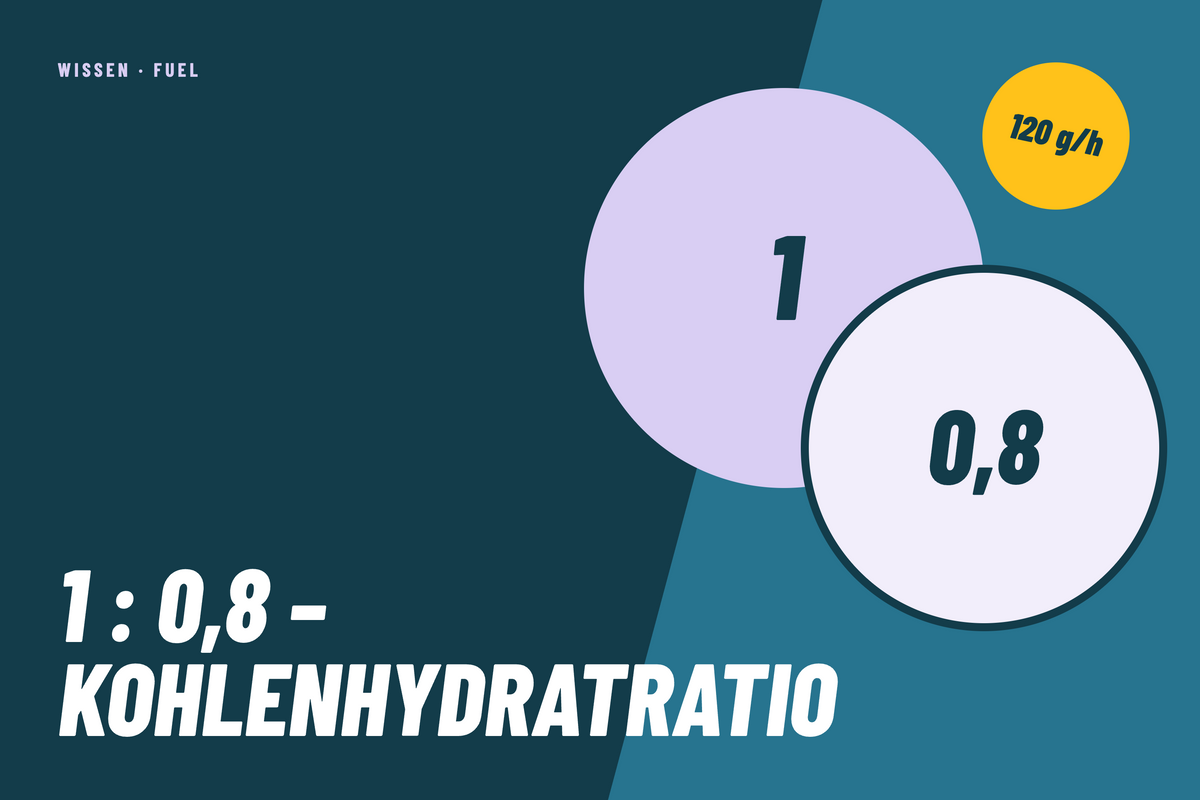 1:0.8 - Kohlenhydratratio von NO CARBS, NO GLORY! 